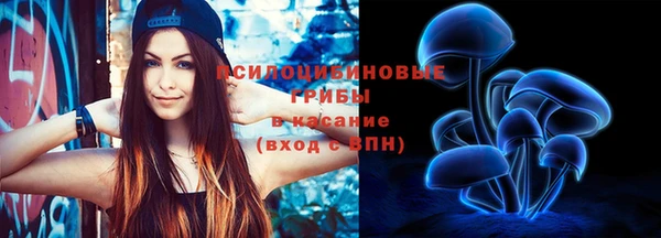 прущая мука Арсеньев