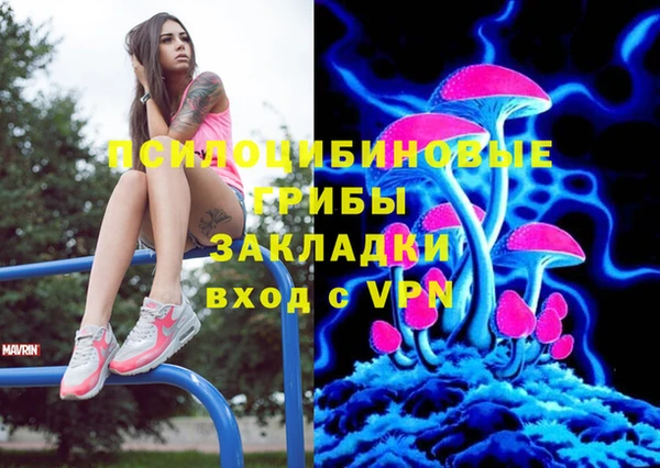 прущая мука Арсеньев