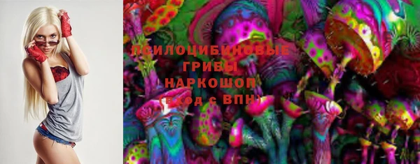 прущая мука Арсеньев